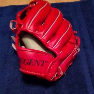 Regent Rookie Series 9.5" Nylon stitched ball glove goes on right hand
